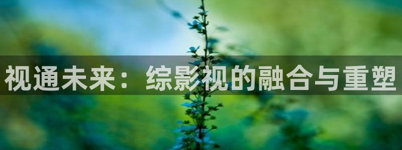 青柠在线观看高清电影：视通未来：综影视的融合与重塑