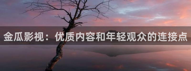 青柠免费观看：金瓜影视：优质内容和年轻观众的连接点