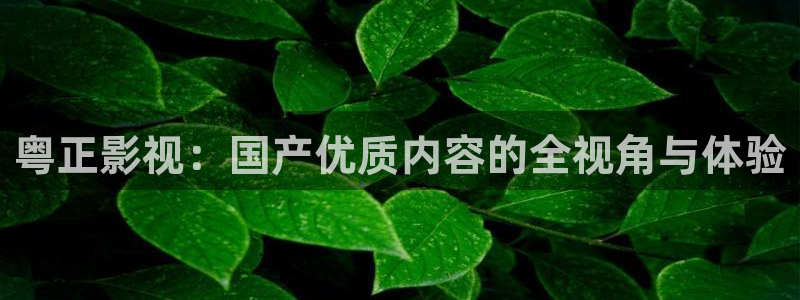 青柠影音：粤正影视：国产优质内容的全视角与体验