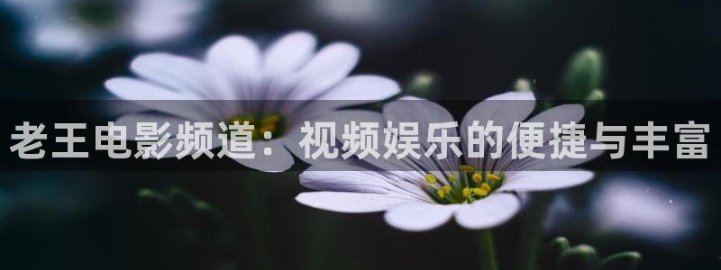 青柠影院在线播放：老王电影频道：视频娱乐的便捷与丰富