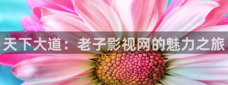 青柠免费私人影院：天下大道：老子影视网的魅力之旅
