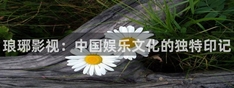 青柠电影：琅琊影视：中国娱乐文化的独特印记